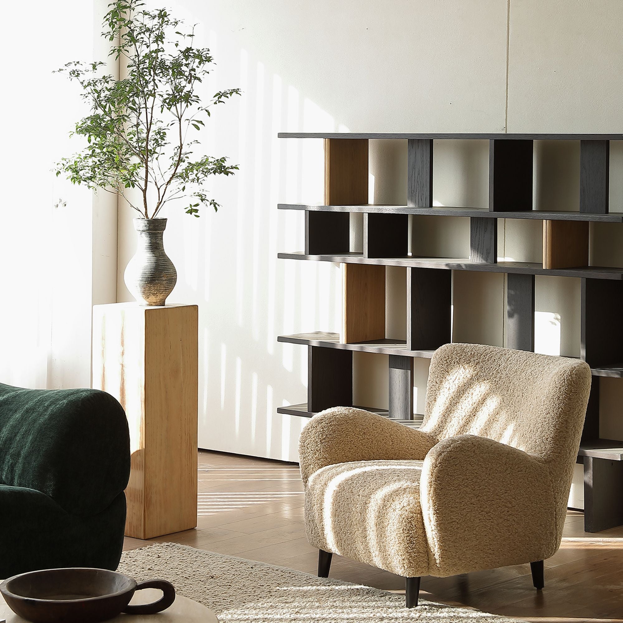 Roosevelt Bookshelf